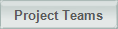 Project Teams