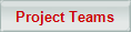 Project Teams
